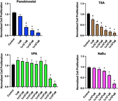 Panobinostat Effectively Increases Histone Acetylation and Alters Chromatin Accessibility Landscape in Canine Embryonic Fibroblasts but Does Not Enhance Cellular Reprogramming